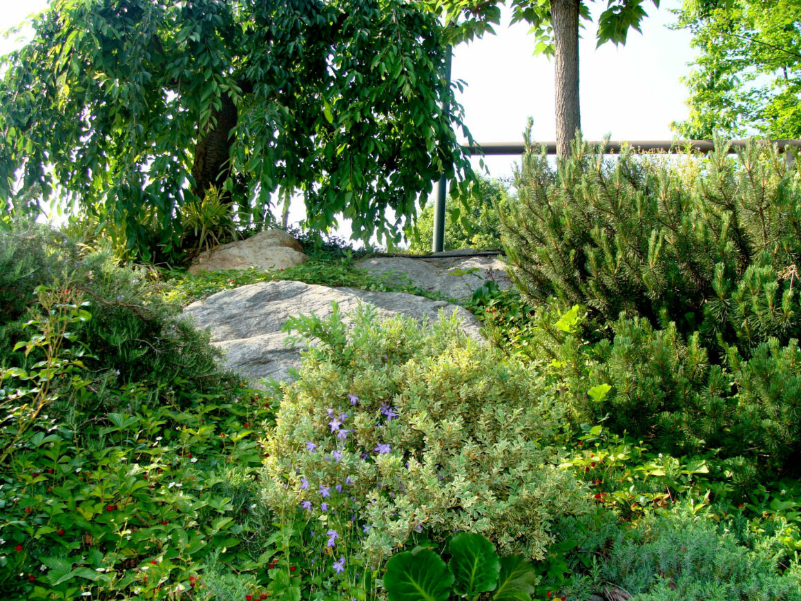Ristorante con parco ricevimenti in brianza